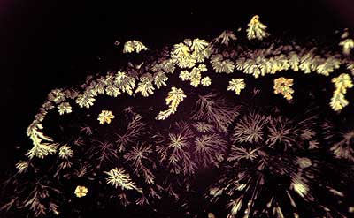 50 kb JPG microphoto of a precipitation crystal by Doug Craft