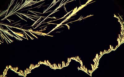 50 kb JPG microphoto of a precipitation crystal by Doug Craft