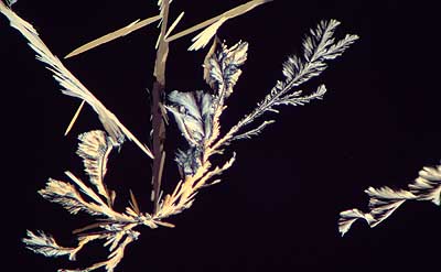 50 kb JPG microphoto of a precipitation crystal by Doug Craft