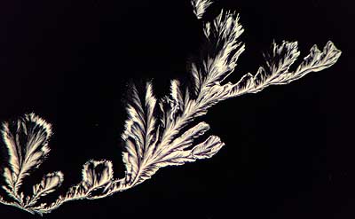 50 kb JPG microphoto of a precipitation crystal by Doug Craft
