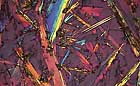 25-30 kb thumbnail JPG image of microphotograph by Doug Craft - links to larger image in right frame