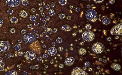 50 kb JPG microphoto of a precipitation crystal by Doug Craft