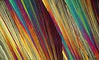 25-30 kb thumbnail JPG image of microphotograph by Doug Craft - links to larger image in right frame