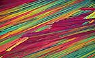 25-30 kb thumbnail JPG image of microphotograph by Doug Craft - links to larger image in right frame