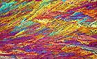 25-30 kb thumbnail JPG image of microphotograph by Doug Craft - links to larger image in right frame