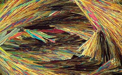 50 kb JPG microphoto of a KHP crystal by Doug Craft