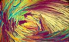 25-30 kb thumbnail JPG image of microphotograph by Doug Craft - links to larger image in right frame