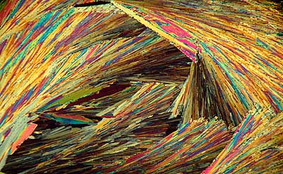 50 kb JPG microphoto of a KHP crystal by Doug Craft