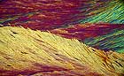 25-30 kb thumbnail JPG image of microphotograph by Doug Craft - links to larger image in right frame