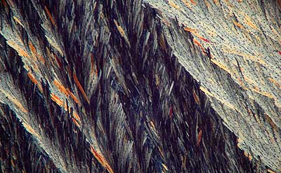 50 kb JPG microphoto of a KHP crystal by Doug Craft