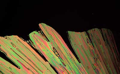 50 kb JPG microphoto of a KHP crystal by Doug Craft