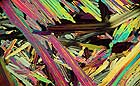25-30 kb thumbnail JPG image of microphotograph by Doug Craft - links to larger image in right frame