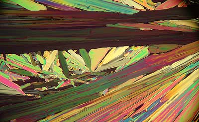 50 kb JPG microphoto of a KHP crystal by Doug Craft