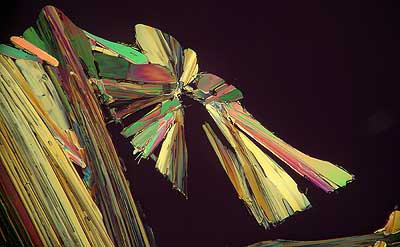 50 kb JPG microphoto of a KHP crystal by Doug Craft