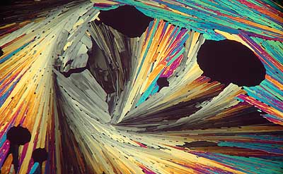 50 kb JPG microphoto of a KHP crystal by Doug Craft