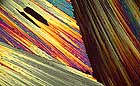 25-30 kb thumbnail JPG image of microphotograph by Doug Craft - links to larger image in right frame