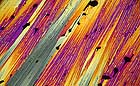 25-30 kb thumbnail JPG image of microphotograph by Doug Craft - links to larger image in right frame