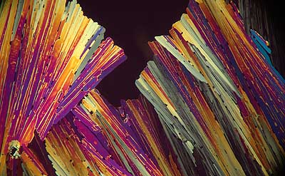 50 kb JPG microphoto of a KHP crystal by Doug Craft