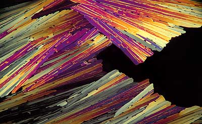 50 kb JPG microphoto of a KHP crystal by Doug Craft