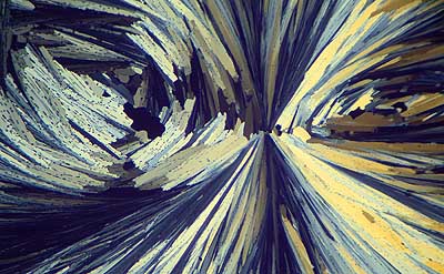 50 kb JPG microphoto of a KHP crystal by Doug Craft