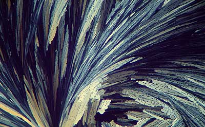 50 kb JPG microphoto of a KHP crystal by Doug Craft