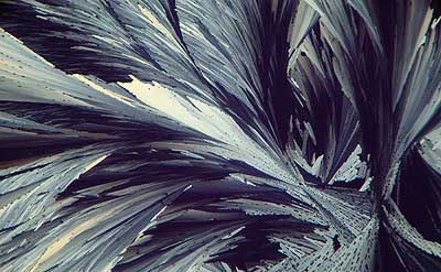 50 kb JPG microphoto of a KHP crystal by Doug Craft