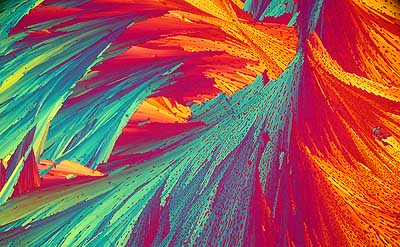 50 kb JPG microphoto of a KHP crystal by Doug Craft