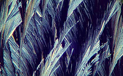 50 kb JPG microphoto of a KHP crystal by Doug Craft
