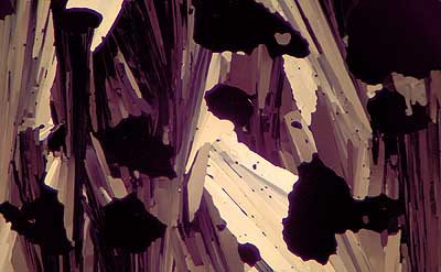 50 kb JPG microphoto of a KHP crystal by Doug Craft