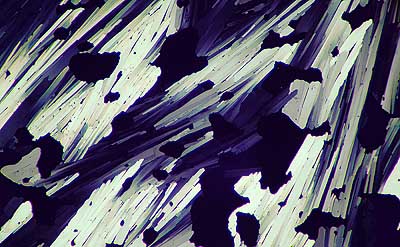 50 kb JPG microphoto of a KHP crystal by Doug Craft