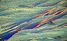 25-30 kb thumbnail JPG image of microphotograph by Doug Craft - links to larger image in right frame