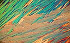 25-30 kb thumbnail JPG image of microphotograph by Doug Craft - links to larger image in right frame