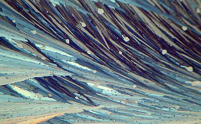 50 kb JPG microphoto of a KHP crystal by Doug Craft