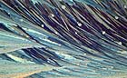 25-30 kb thumbnail JPG image of microphotograph by Doug Craft - links to larger image in right frame