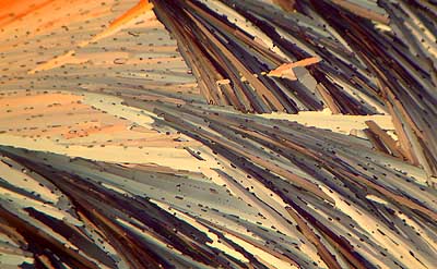 50 kb JPG microphoto of a KHP crystal by Doug Craft