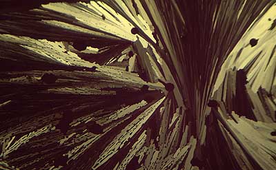 50 kb JPG microphoto of a KHP crystal by Doug Craft