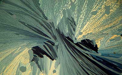 50 kb JPG microphoto of a KHP crystal by Doug Craft