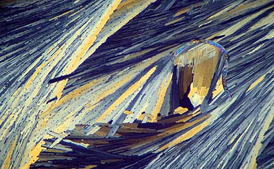 50 kb JPG microphoto of a KHP crystal by Doug Craft