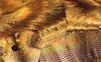 50 kb JPG image of collage by Doug Craft