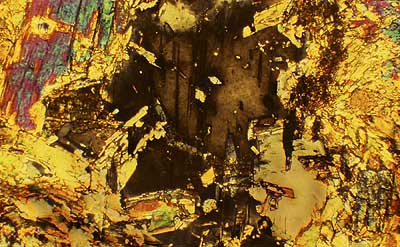 50 kb JPG image of collage by Doug Craft