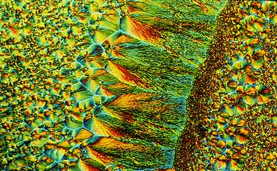50 kb JPG image of collage by Doug Craft