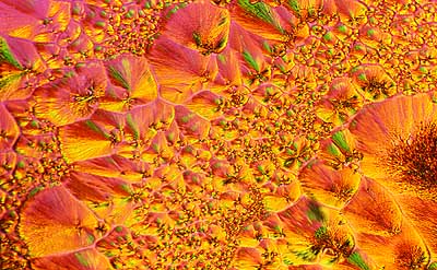 50 kb JPG image of collage by Doug Craft