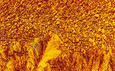 50 kb JPG image of collage by Doug Craft