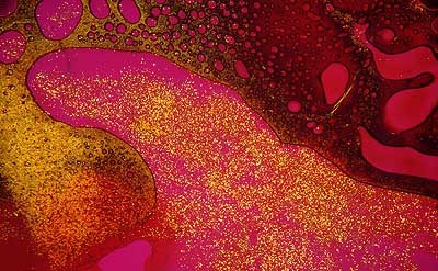 50 kb JPG microphoto of a micro texture by Doug Craft