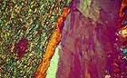 25-30 kb thumbnail JPG image of microphotograph by Doug Craft - links to larger image in right frame