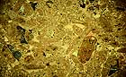 25-30 kb thumbnail JPG image of microphotograph by Doug Craft - links to larger image in right frame