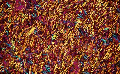 50 kb JPG microphoto of a KHP crystal by Doug Craft