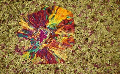50 kb JPG microphoto of a KHP crystal by Doug Craft