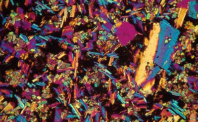 50 kb JPG microphoto of a KHP crystal by Doug Craft