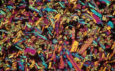 50 kb JPG microphoto of a KHP crystal by Doug Craft